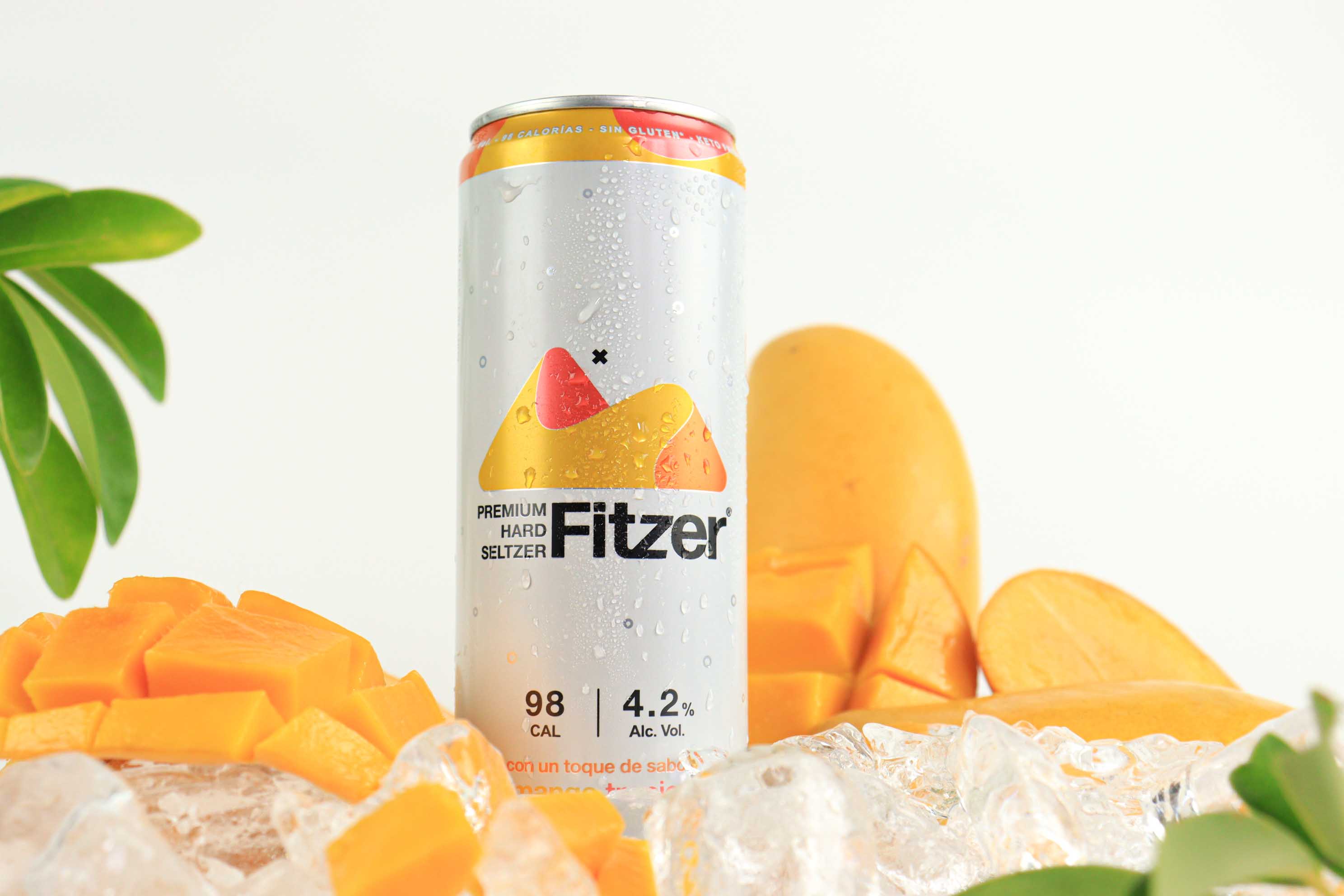 Fitzer Premium Hard Seltzer
